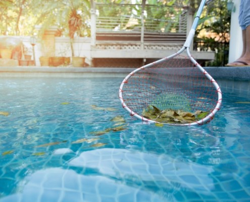 De-Leaf Your Pool – How To Keep Your Pool Leaf-Free cover