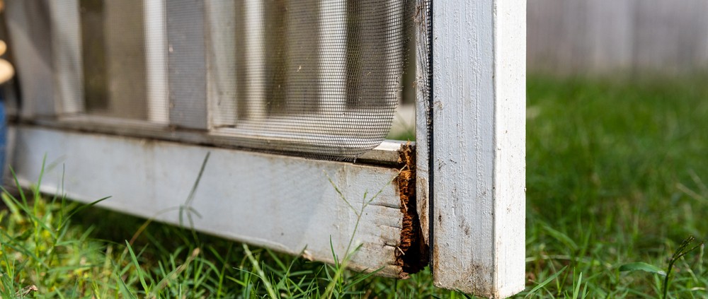 Close-up of rotten wood on exterior screen door of a porch