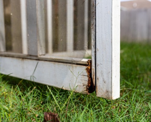 Close-up of rotten wood on exterior screen door of a porch